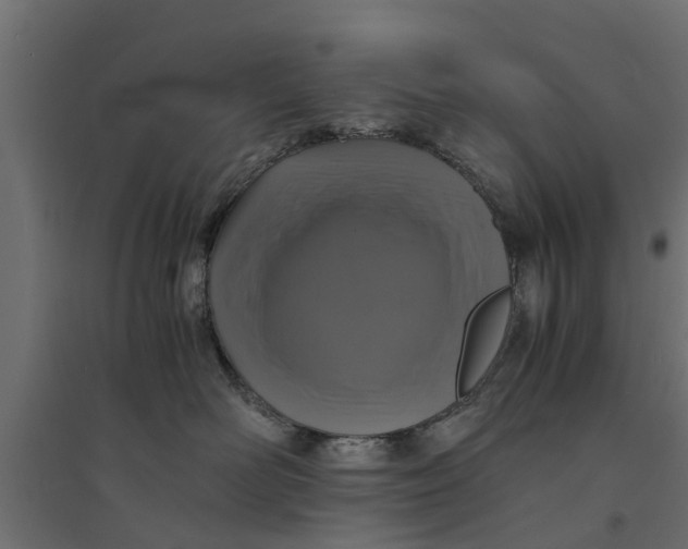 X0000094340526200711241855