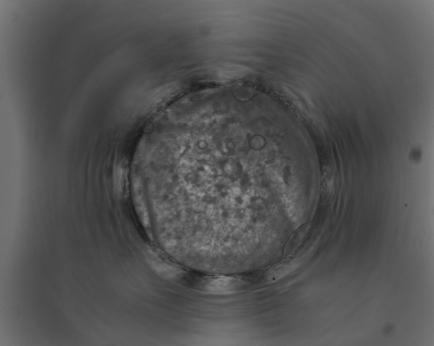 X0000094340527200711241855