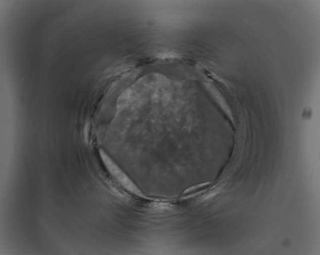 X0000094340528200711241855