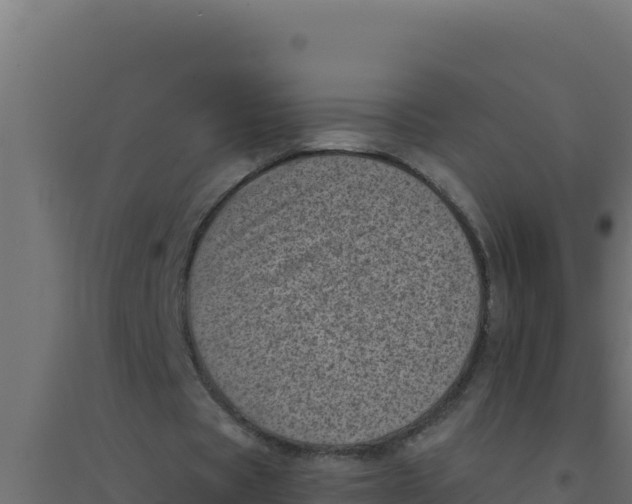 X0000094340529200711241854