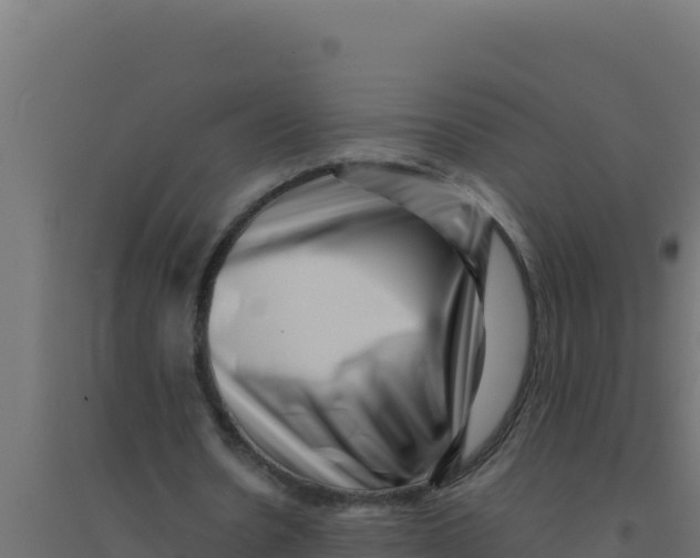 X0000094340530200711241854