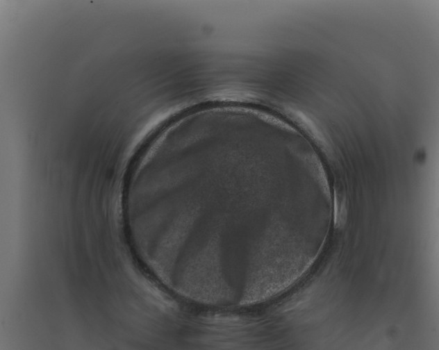 X0000094340531200711241854