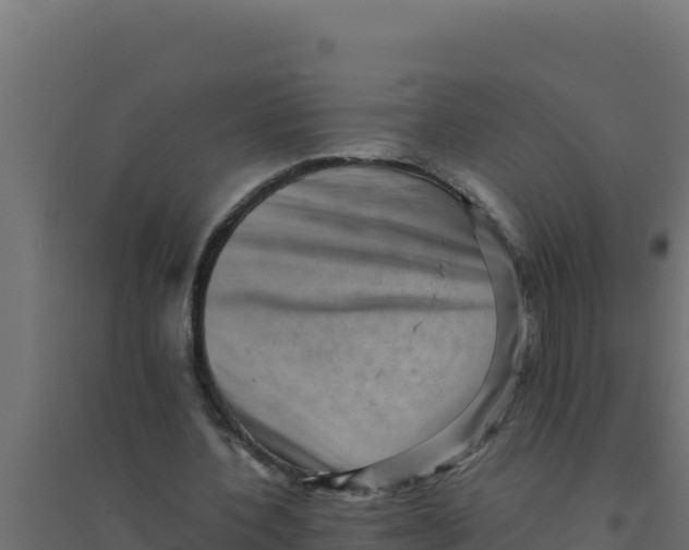 X0000094340532200711241854