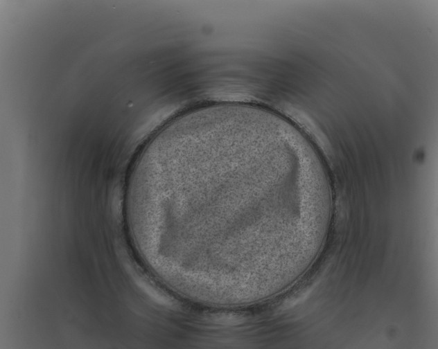 X0000094340533200711241854