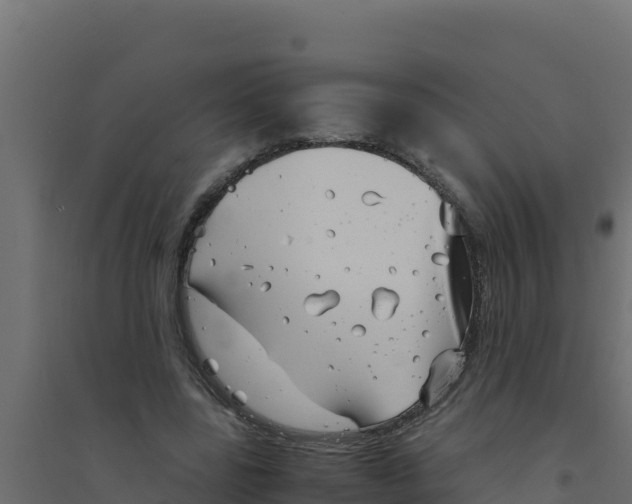 X0000094340539200711241854