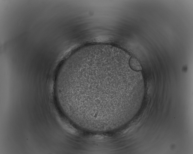 X0000094340542200711241854