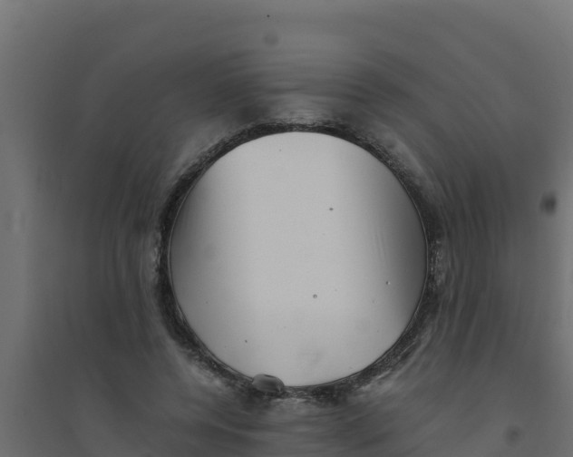 X0000094340544200711241854