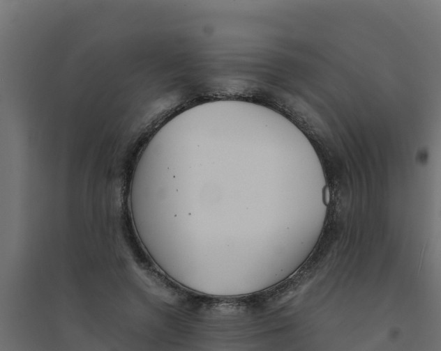 X0000094340546200711241854