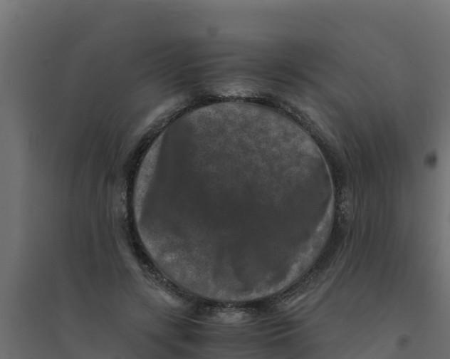 X0000094340547200711241854