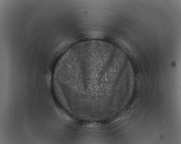 X0000094340550200711241854