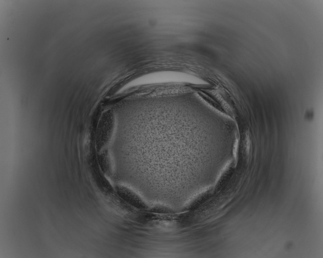 X0000094340552200711241854