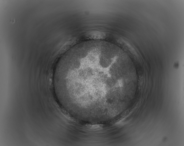 X0000094340553200711241854