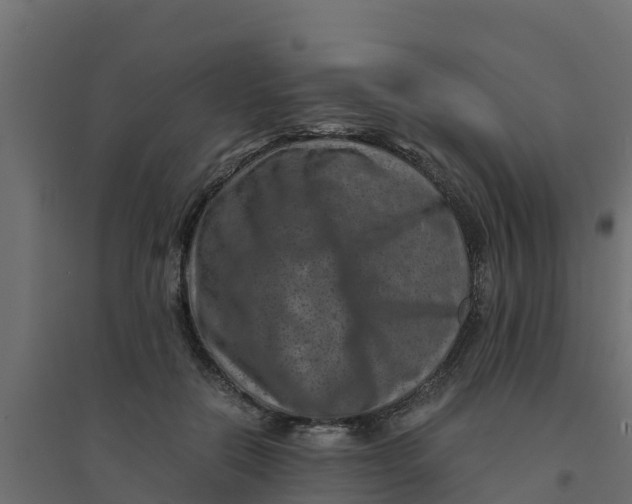 X0000094340554200711241854