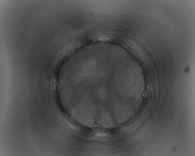 X0000094340555200711241854