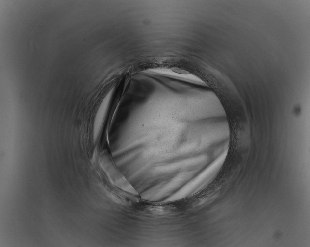 X0000094340558200711241854