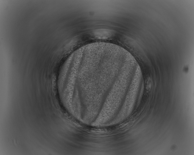 X0000094340559200711241854