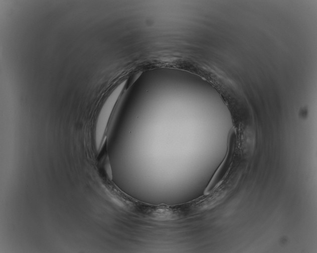 X0000094340562200711241854