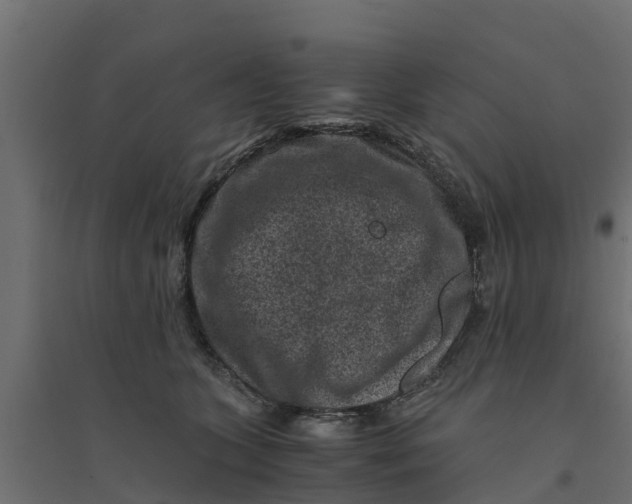 X0000094340563200711241855