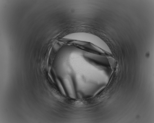 X0000094340566200711241855