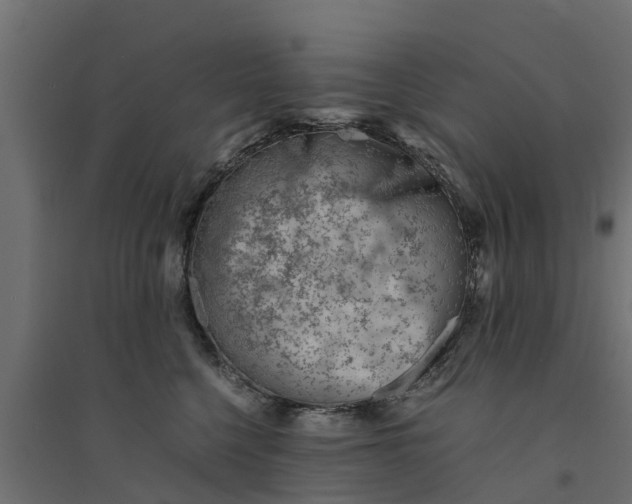 X0000094340568200711241855