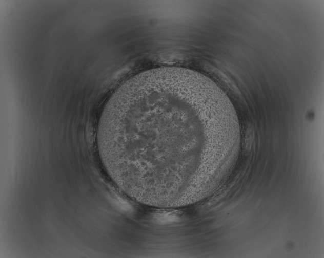 X0000094340569200711241855