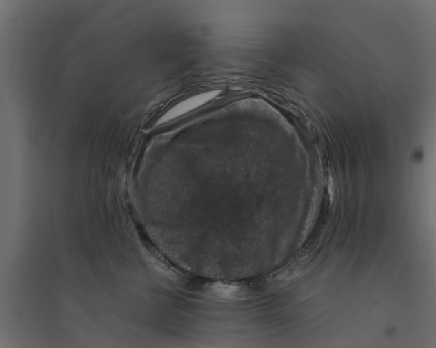 X0000094340570200711241855