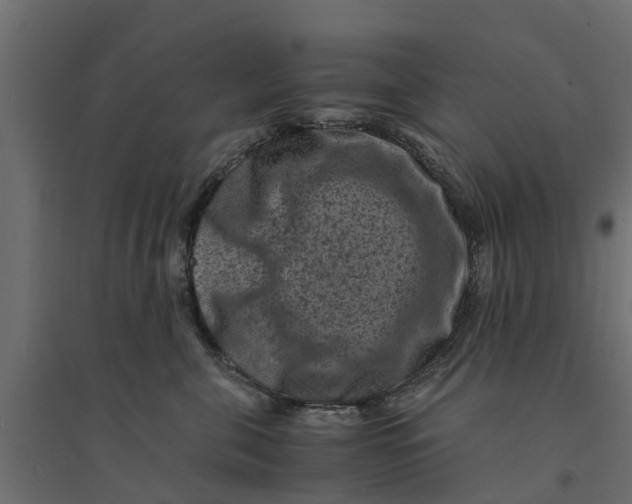 X0000094340571200711241855