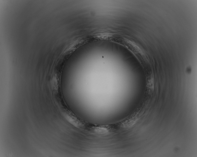 X0000094340572200711241855