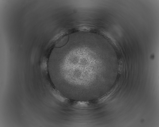 X0000094340573200711241855