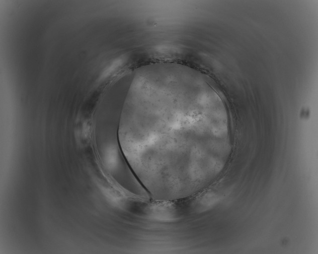 X0000094340576200711241855