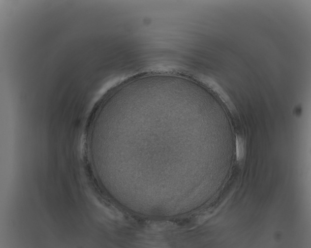 X0000094340579200711241854