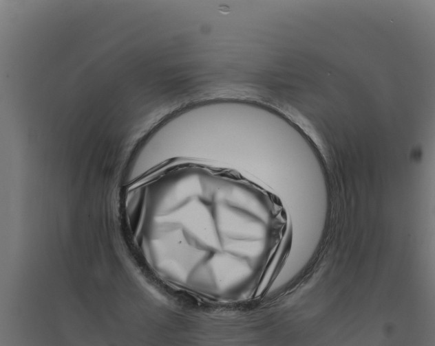 X0000094340581200711241854