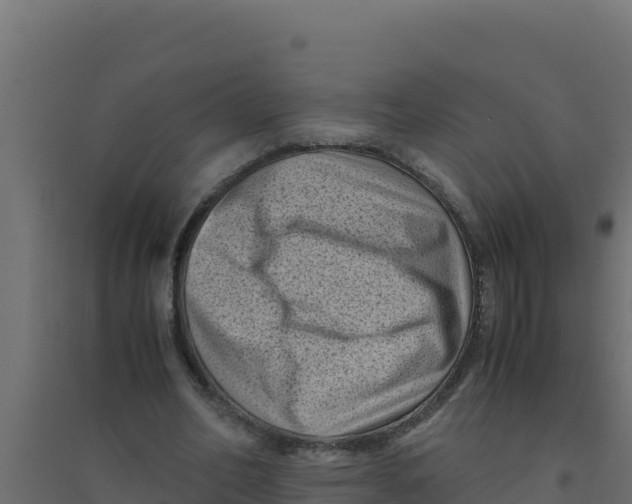 X0000094340582200711241854