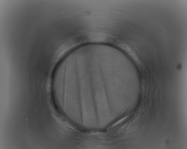 X0000094340583200711241854