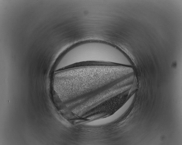 X0000094340584200711241854