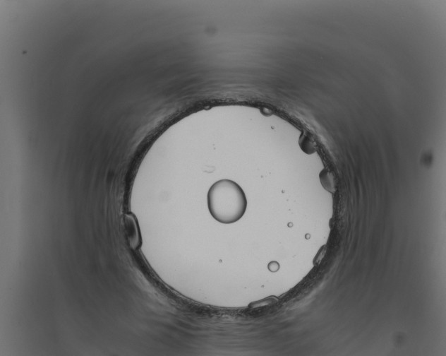 X0000094340585200711241854