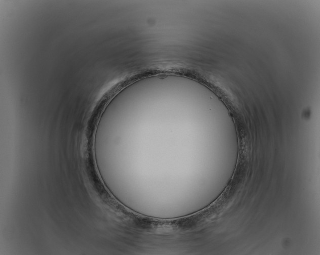 X0000094340587200711241854