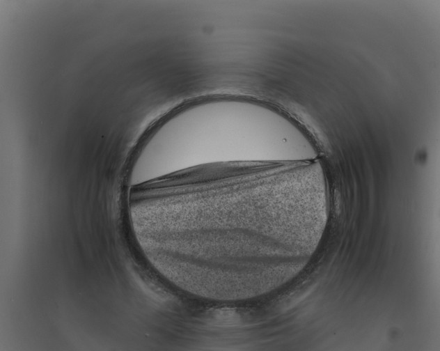 X0000094340588200711241854