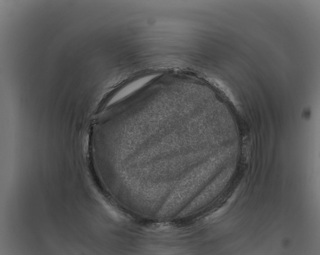 X0000094340589200711241854