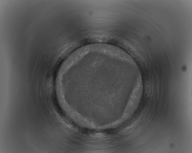 X0000094340594200711241854