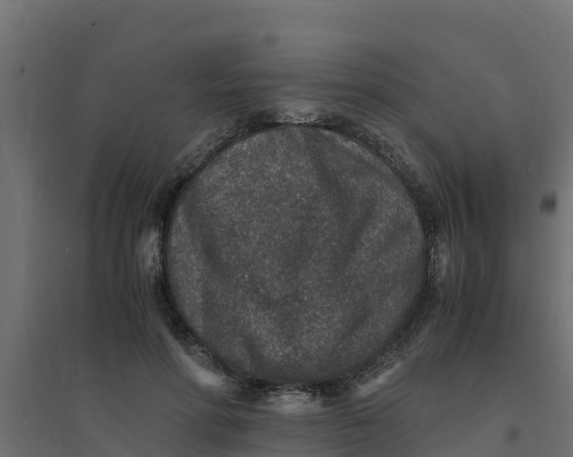 X0000094340598200711241854