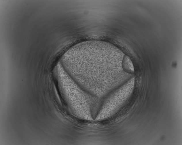 X0000094340599200711241854