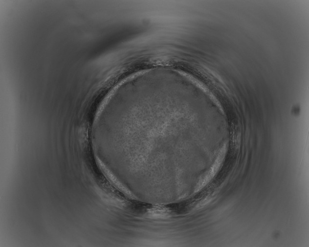 X0000094340603200711241854