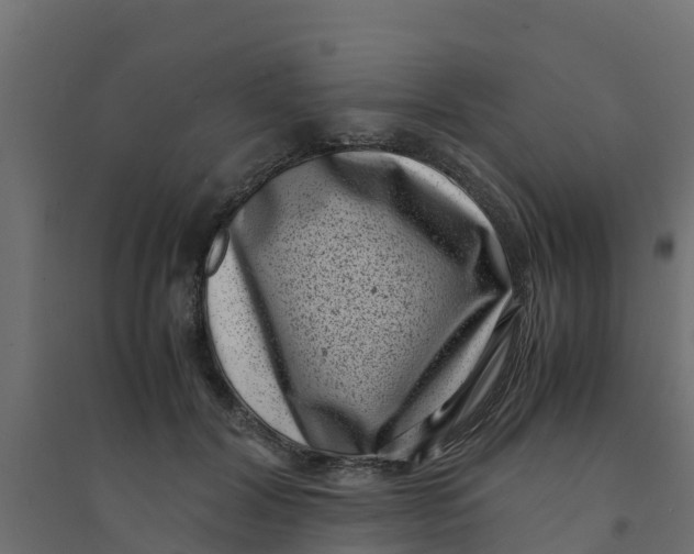 X0000094340604200711241854