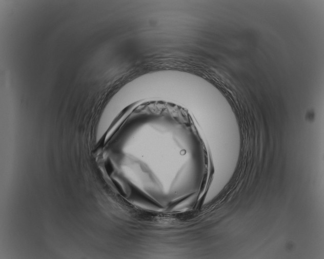 X0000094340605200711241854