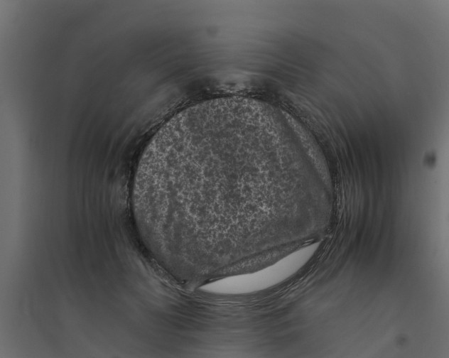 X0000094340606200711241854