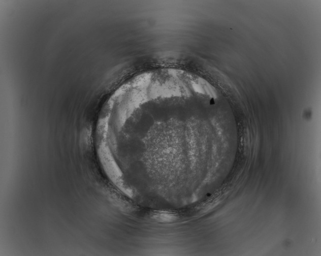 X0000094340610200711241854