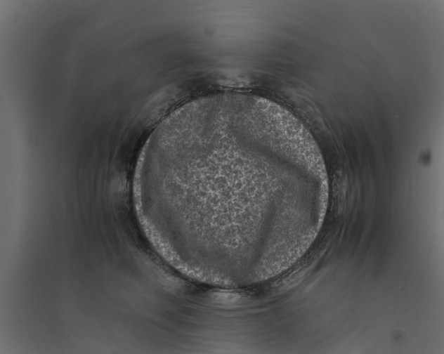 X0000094340614200711241854