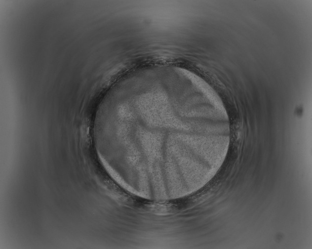 X0000094340615200711241853