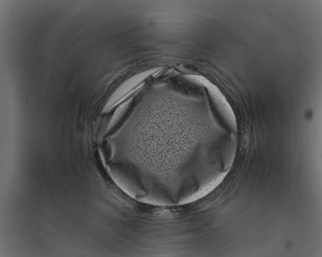 X0000094340616200711241853